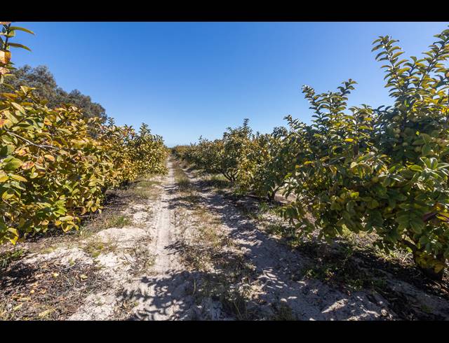 33.40HA FARM SOLD IN DWARSKERSBOS